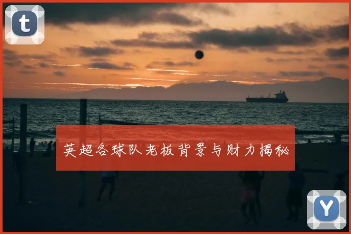 英超各球队老板背景与财力揭秘