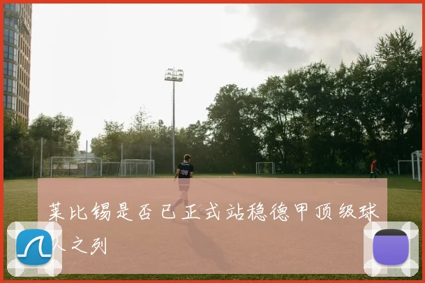 莱比锡是否已正式站稳德甲顶级球队之列