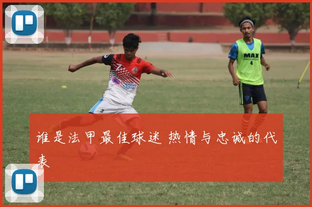 谁是法甲最佳球迷 热情与忠诚的代表