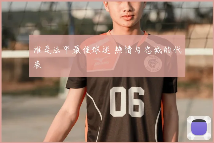 谁是法甲最佳球迷 热情与忠诚的代表